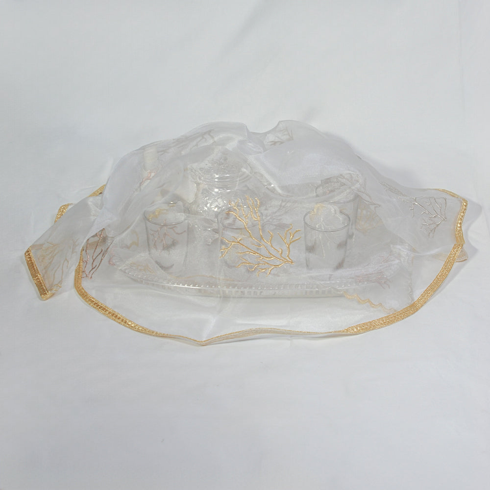 Ensemble complet pour sinia